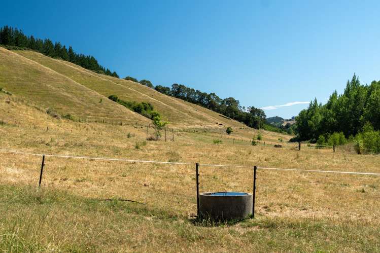 300 Sunday Creek Road Thorpe_43