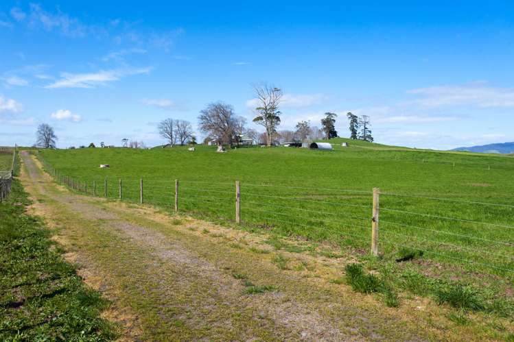 2175 Morrinsville-Walton Road Richmond Downs_16