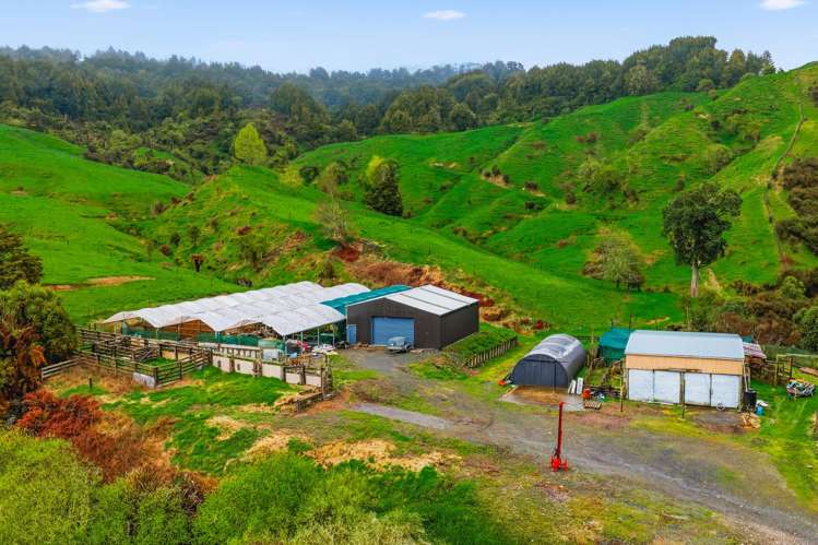 3434 State Highway 4 Aria_21