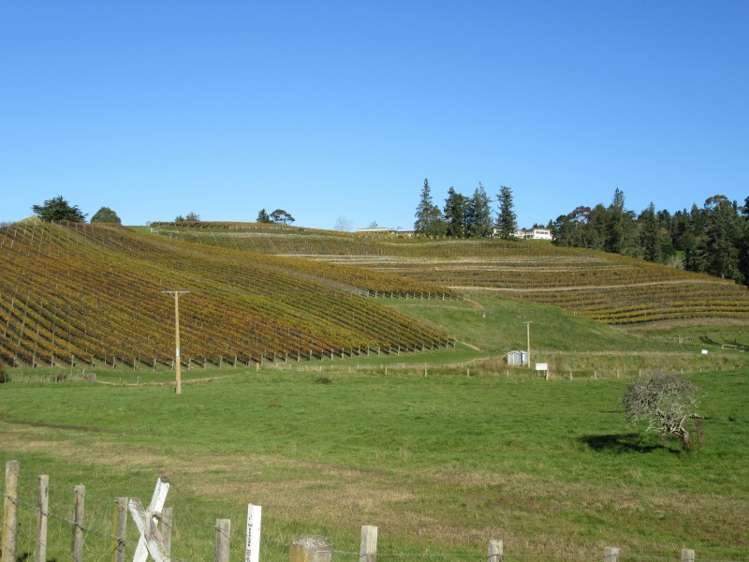 208 Pukeora Scenic Road Waipukurau and Surrounds_25