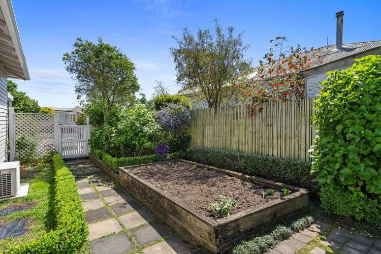 13 Tasman Street The Wood_2