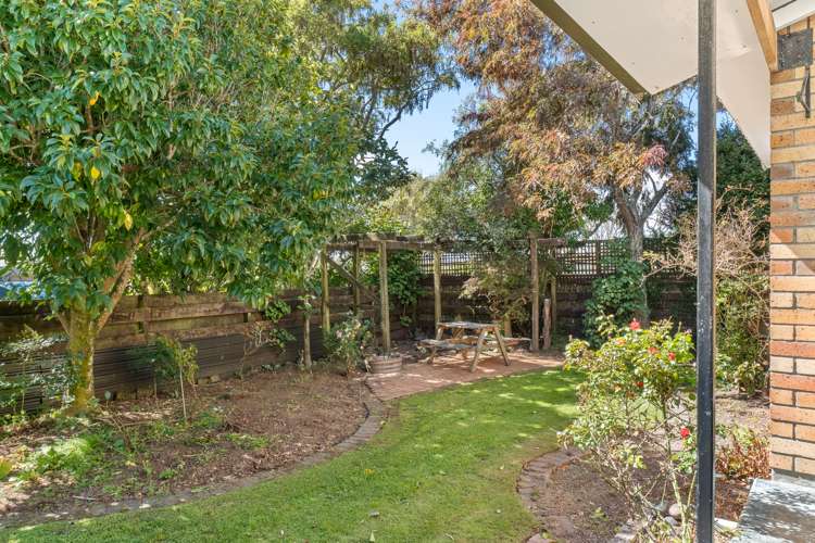 91 Manu Crescent Upper Vogeltown_17