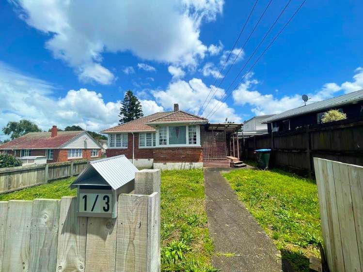 1/3 Hallam Street Mount Albert_0