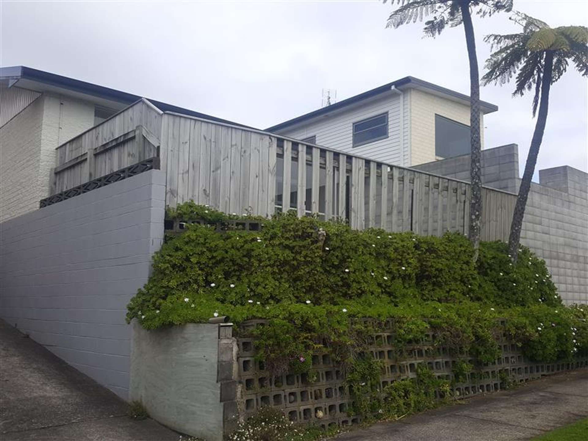 46 Lemon Street New Plymouth Central_0