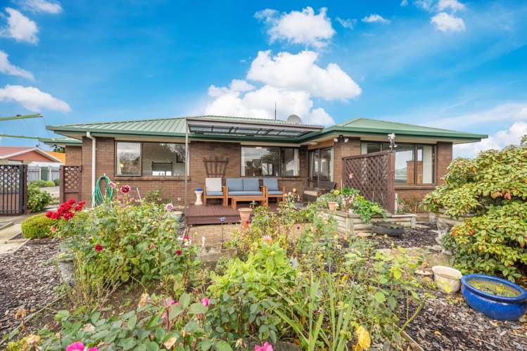 354 Tay Street Turnbull Thomson Park_13