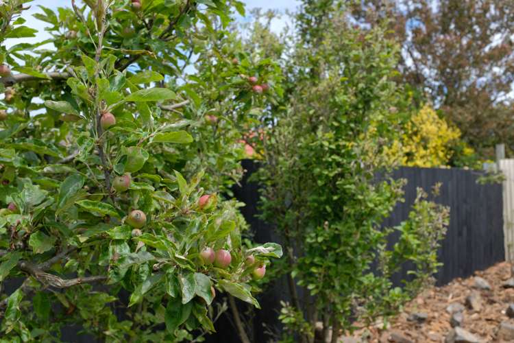 163 Melbourne Street South Dunedin_11