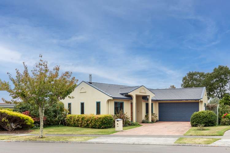 30 Palmbrook Avenue Havelock North_17