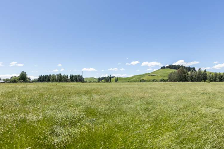 1212 Ohiti Road Crownthorpe_21