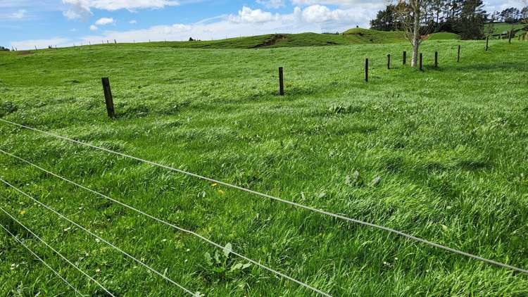 953 Upland Road Egmont Village_29