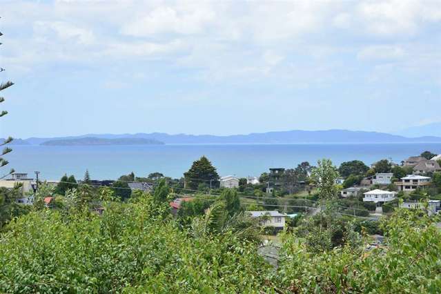 8 Norfolk Road Stanmore Bay_3