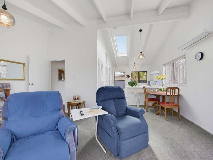133 Tiro Tiro Road Levin_6