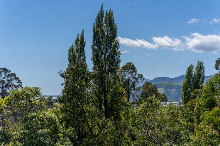 49 Thompson Terrace Toi Toi_21