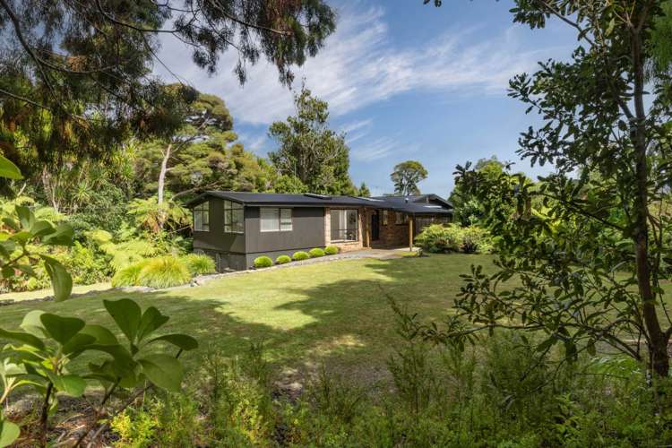 256 Piha Road Piha_15