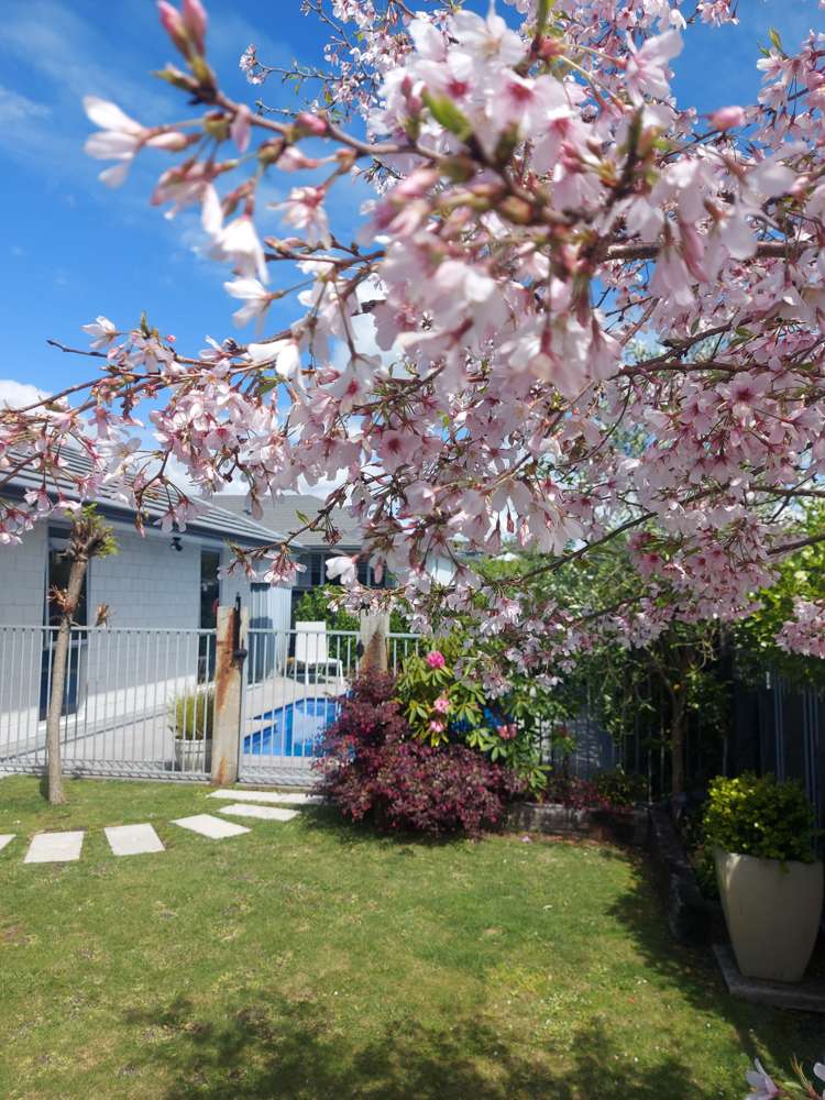 63 Glenpark Crescent Bethlehem_20