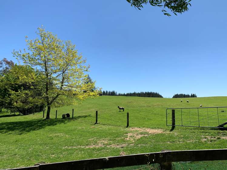 1173 Poihipi Road Oruanui_17