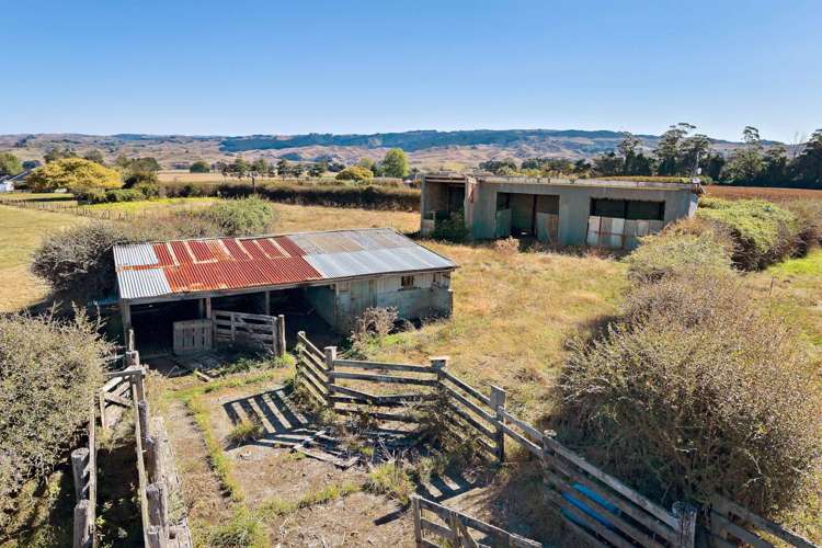 106 Andrews Road Onewhero_41