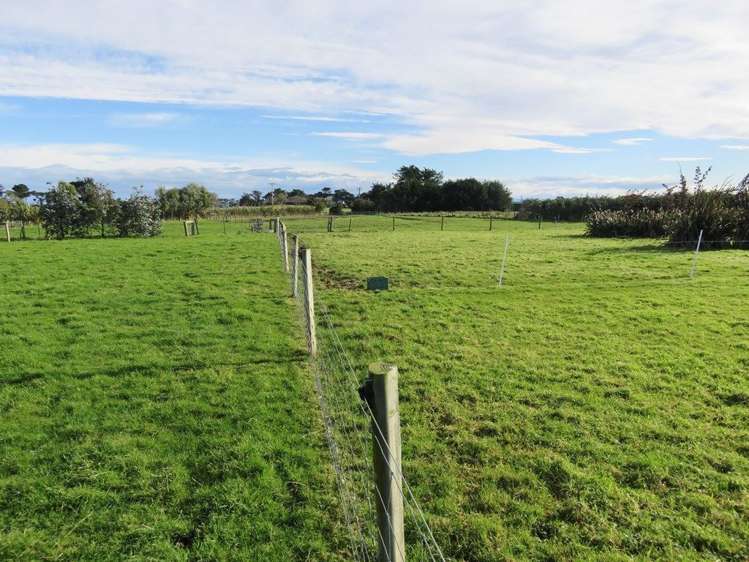 40 Ackers Road New River Ferry_19