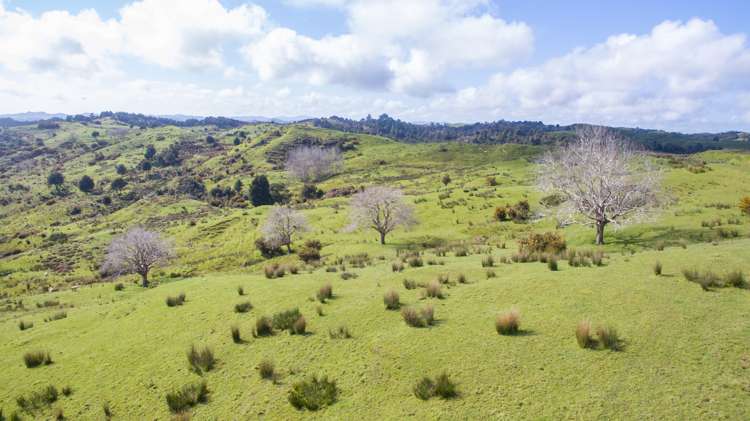 164 Arcadia Road Paparoa_11