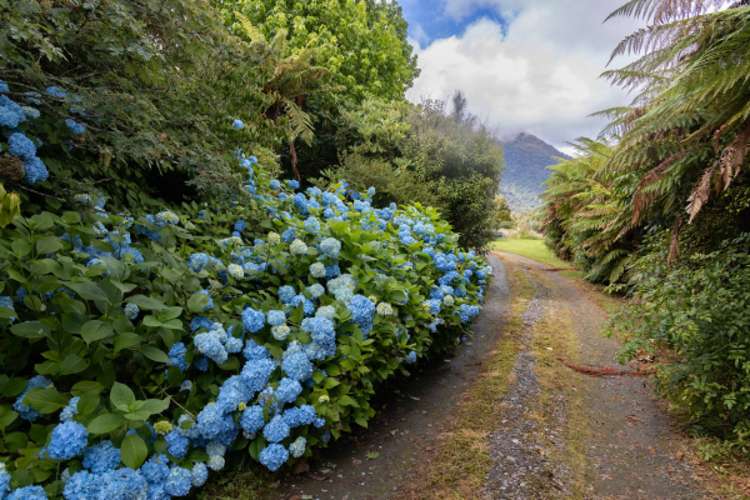 81 Cook Flat Road Fox Glacier_12