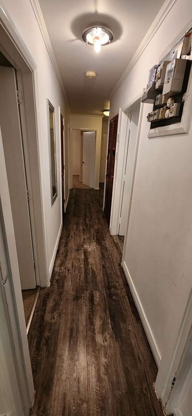 73 Colson Street Avalon_3