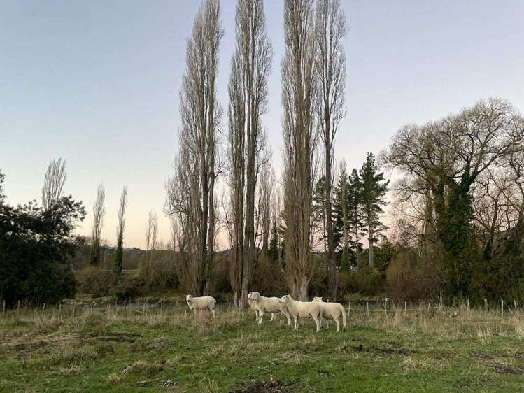 316 Miro Street Manunui_11