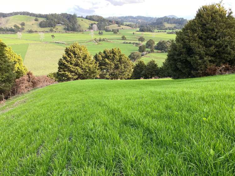 Pigs Head Road Whakapara_9