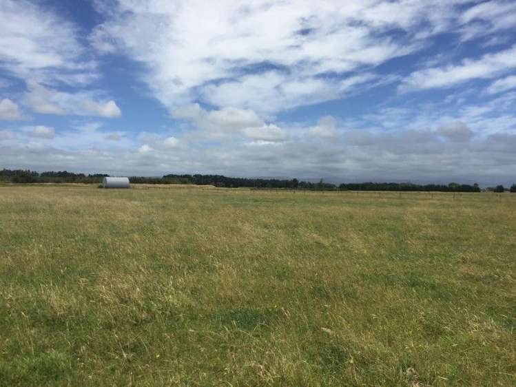 875 Roberts Line Bunnythorpe_8