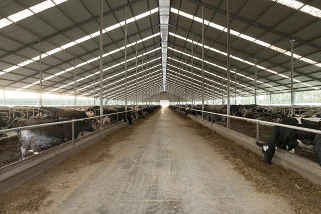 1444 Maronan Valetta Road Mayfield_3