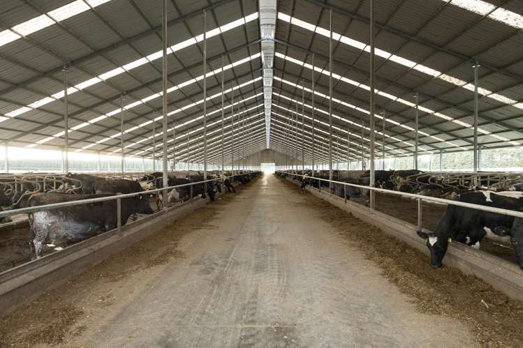 1444 Maronan Valetta Road Westerfield_3