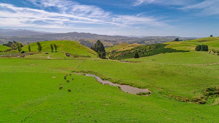 1094 Opaki Kaiparoro Road Rangitumau_7