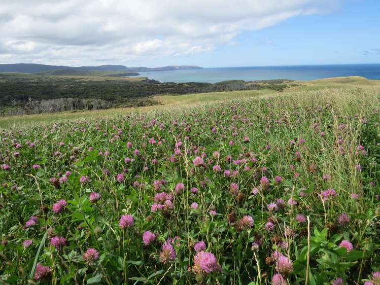 15 Bell Road Taumarunui_17