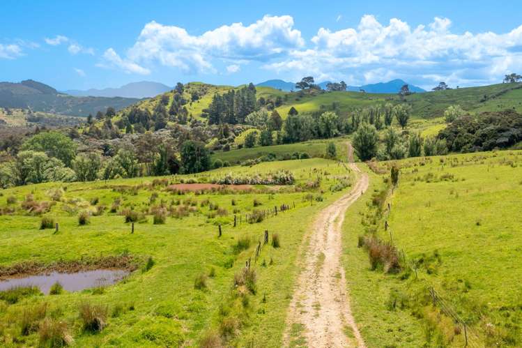 15 Karuhiruhi Road Hokianga_16