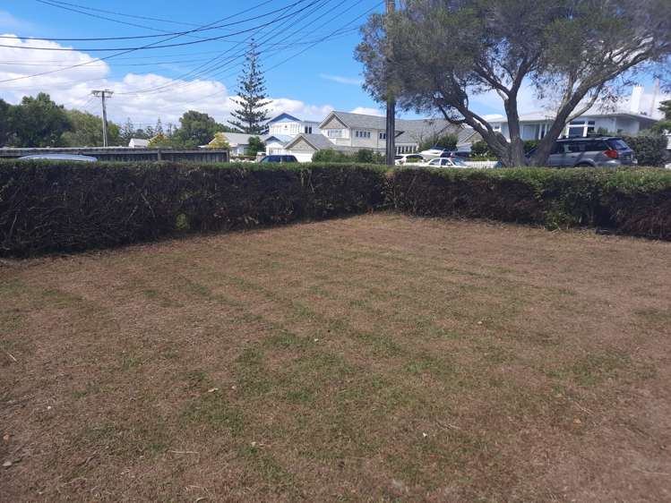 31 Hanlon Crescent 1619_8