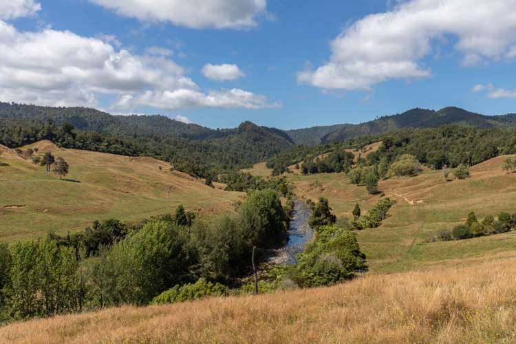 249 Franklin Road Waihi_23