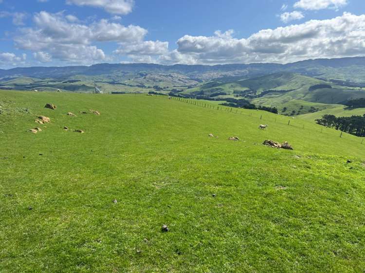 463 Waihi Valley Rd Dannevirke_25