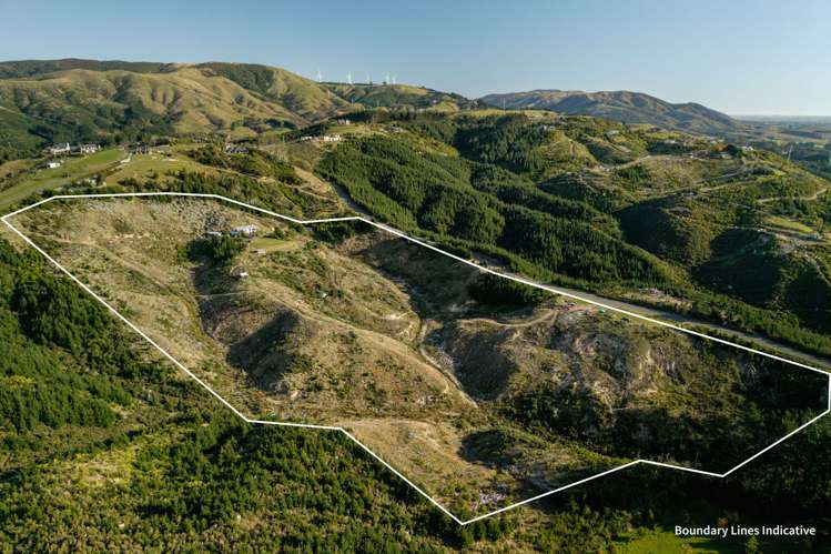 191 Ngahere Park Road Turitea_24