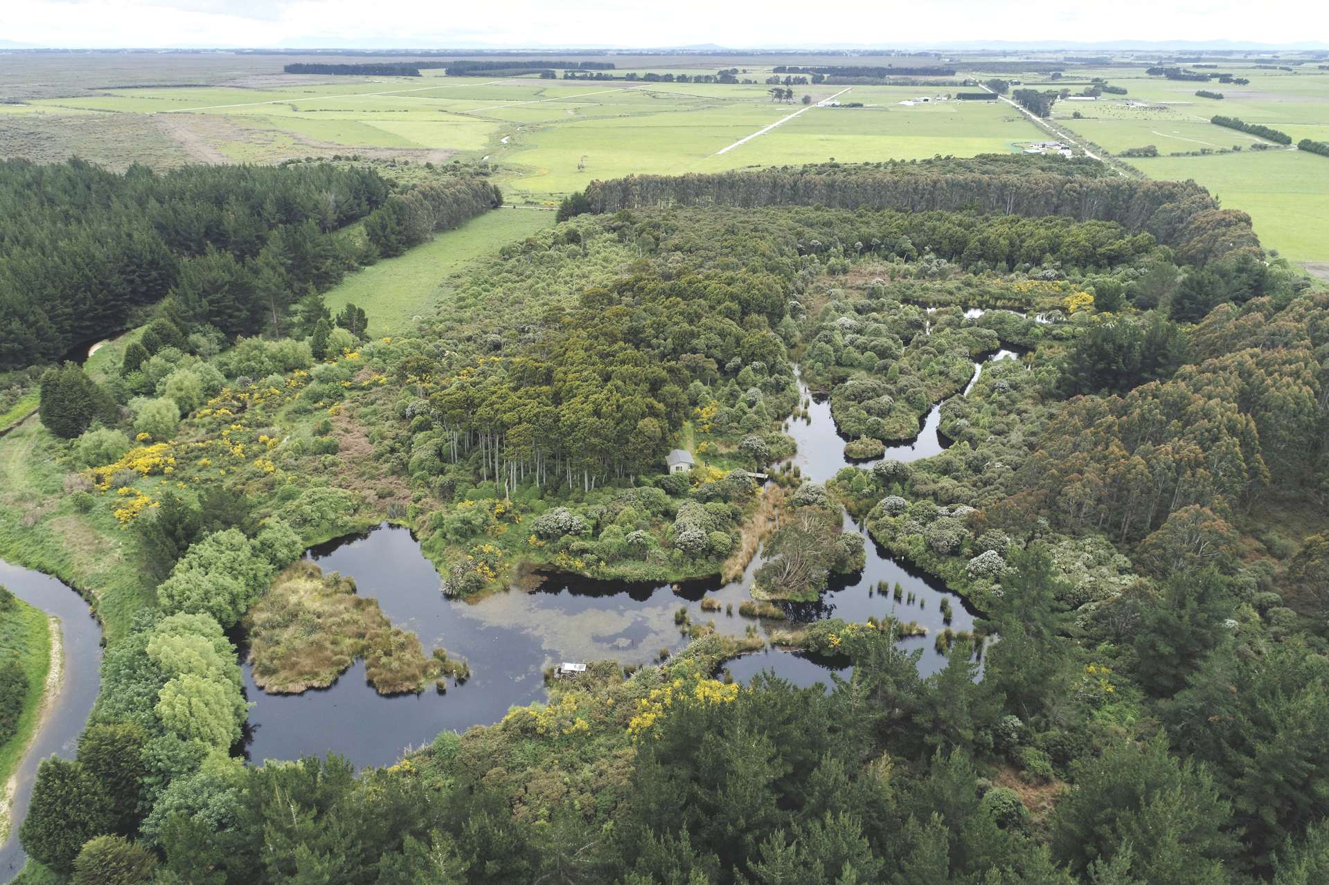 600 Marshall Road Awarua Wetlands_0