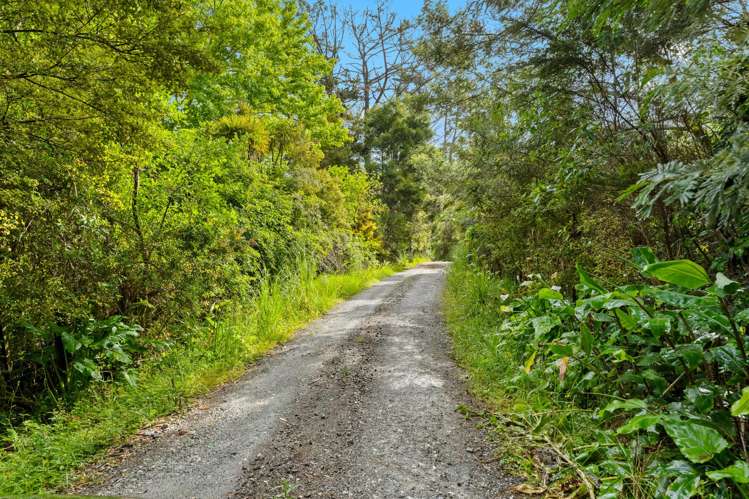 10 Hobbs Road Matakatia_36