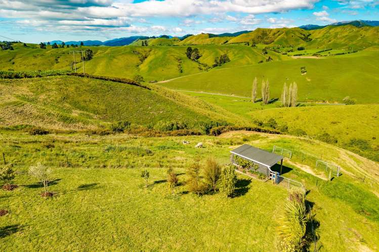 187 Dublin Road Wakefield_21