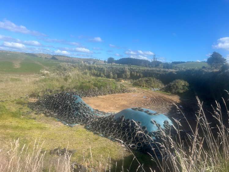 78 Brandon Hall Road Bulls_9