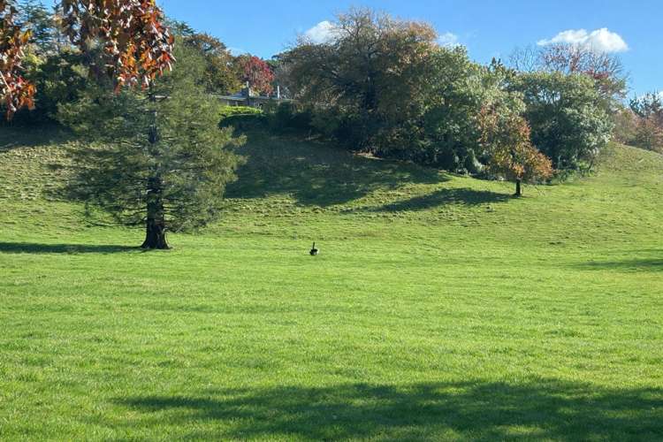 207 Rotowai Road Omakere_15