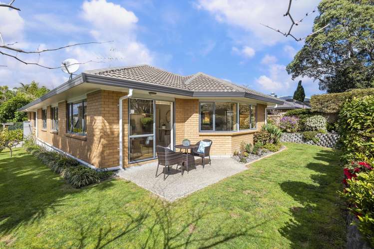 15b Irirangi Road Greenlane_17