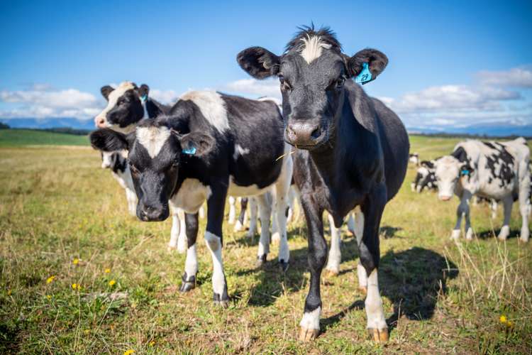 162 Sinclair Road Te Anau_8