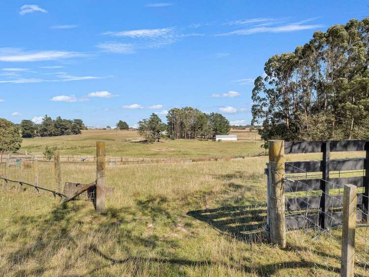 371 Tutaki Road Bunnythorpe_26