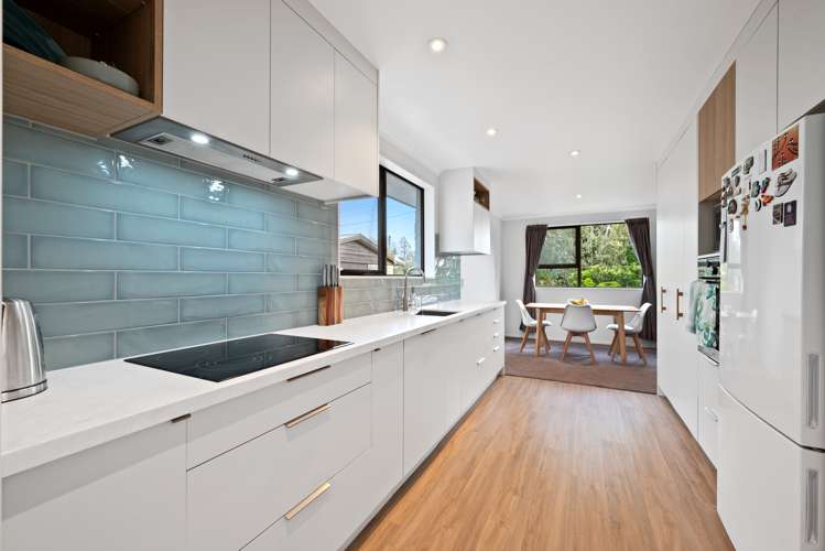 11 Brydon Street Renwick_4