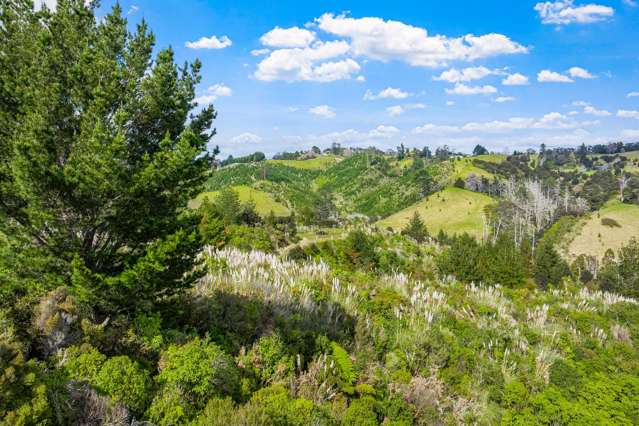 Lot 3 Radiata Road Warkworth_4