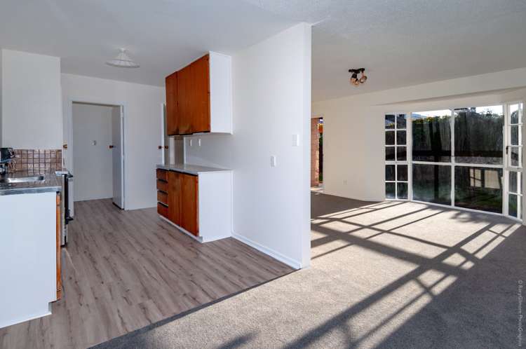 24 Besant Place Avondale_5