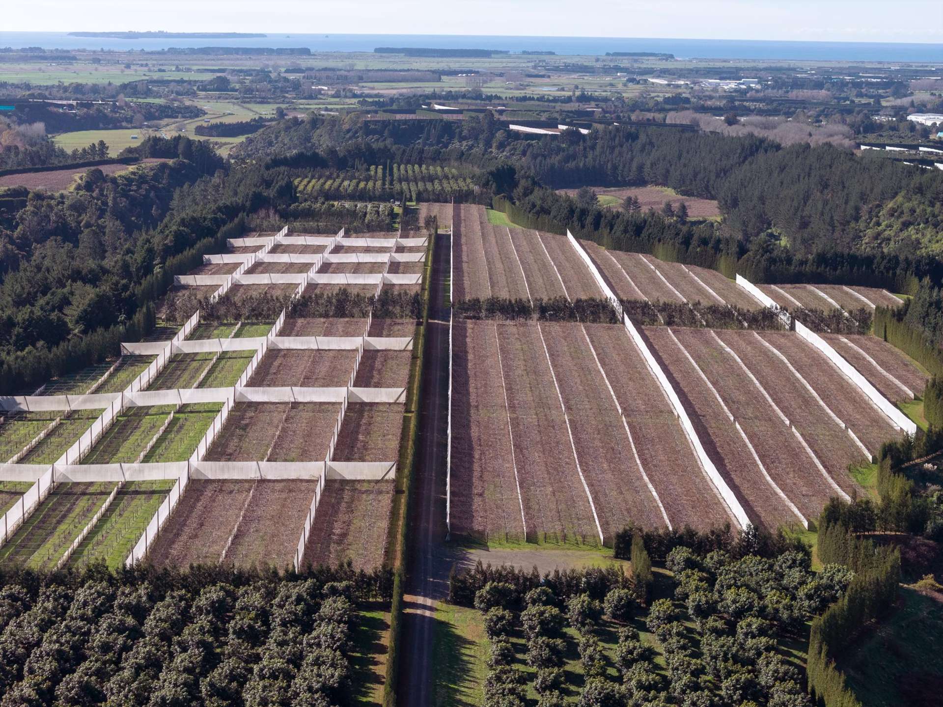 852 Rangiuru Road Rangiuru_0