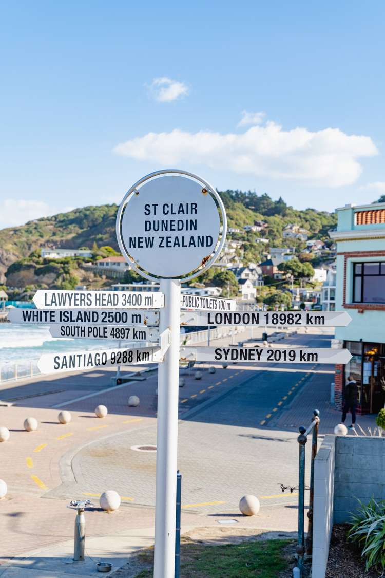 246 Forbury Road Saint Clair_8