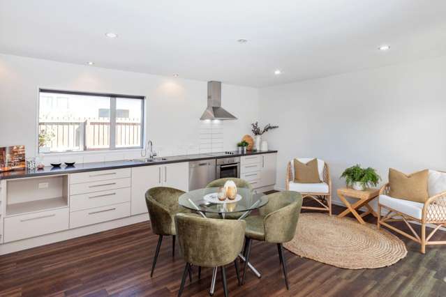 17A Bolton Av Spreydon_2